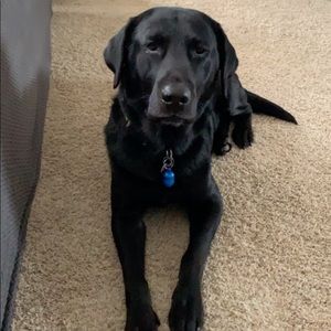 Bundle 2 or more items and save!! 💙💚